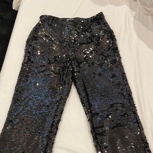 Zara sequence pants (BRAND NEW)